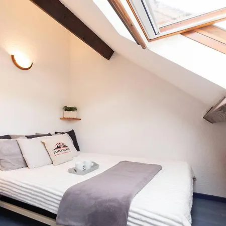 Appartamento T2 Pour 4 Pers. Avec Balcon Et Casier A Skis, Saint-lary Village, Proche Navette Gratuite - Fr-1-296-479 Saint-Lary-Soulan
